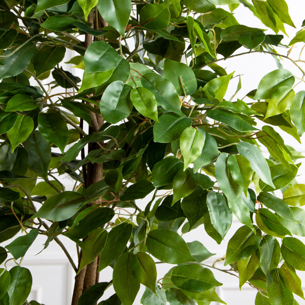 180/РН/ЭК/345(Пр)(F) Фикус искусственный h180см,(латекс)_3