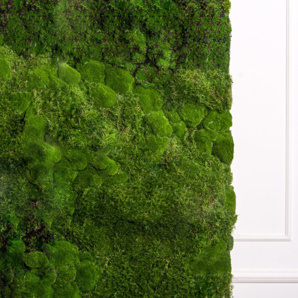 ФТС169(F) Фитостена, за 1кв.м._3