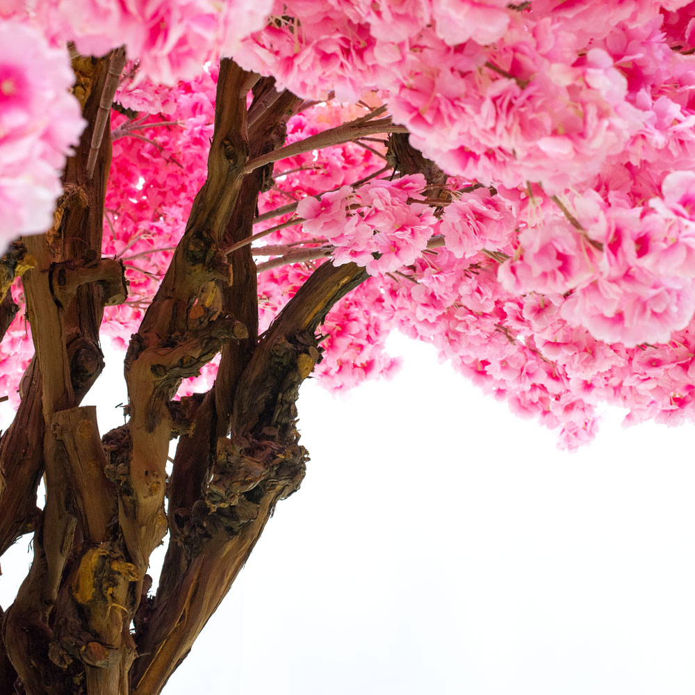 320/ОС/34(з.)Сакура h320см d220-250см_2