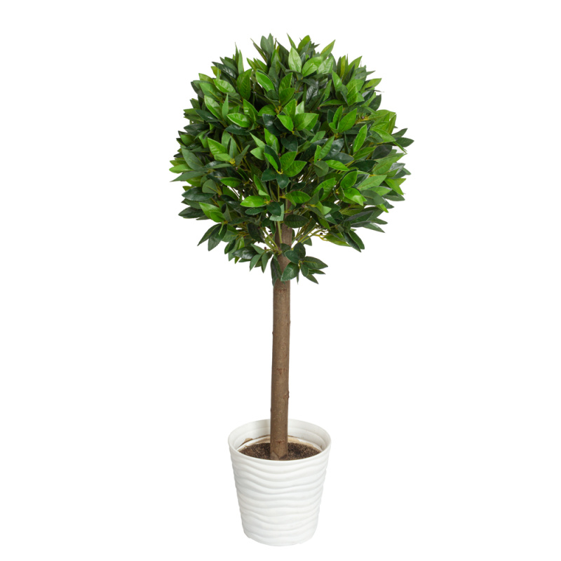 120/Ш/188 Лавр h120см(латекс) в интерьерном кашпо_2