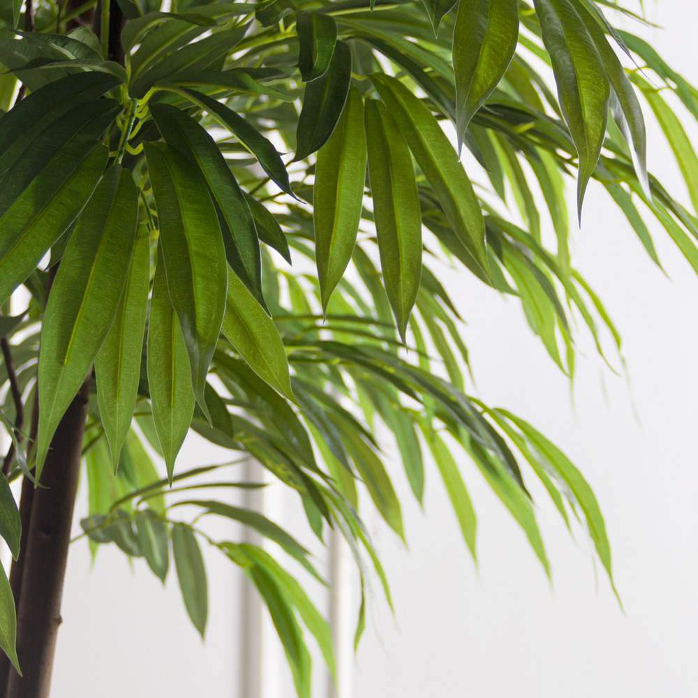 270/РН/219(з)(F) Лонгифолия искусственная h270см_1