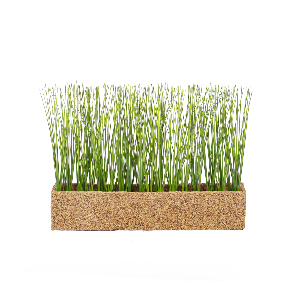 Т009 Трава h27 в кокосовом боксе (зеленая)50*10*10_1