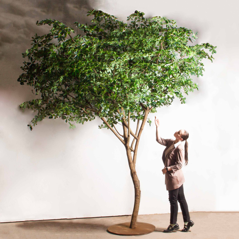 350/РН/84-2(з)(УУ)(Пр)(F) Шеффлера искусственная h350см_1