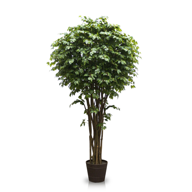 300/РН/34-1(з) Фикус искусственный h300см _6