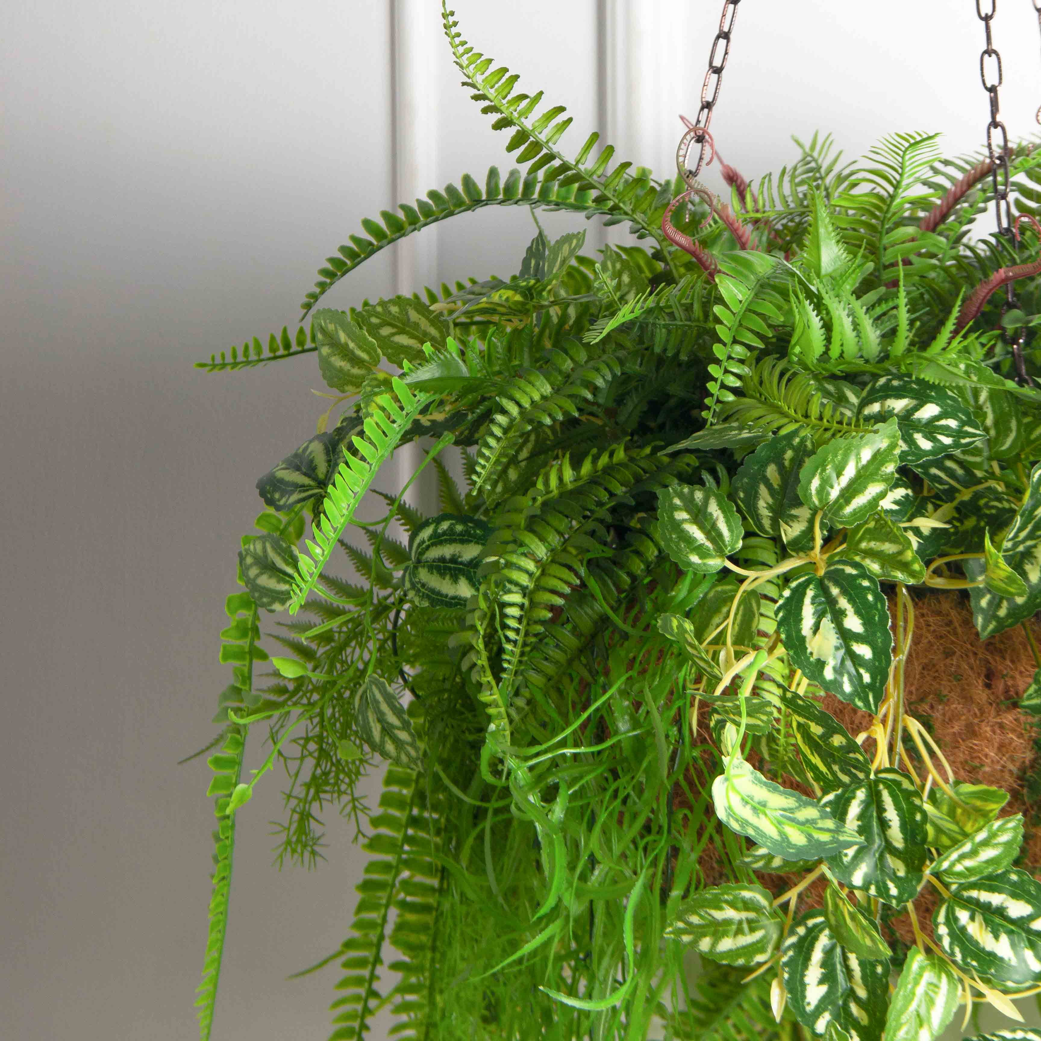 ККВ09 Папоротник искусственный с ампельной пилеей в коковите_5