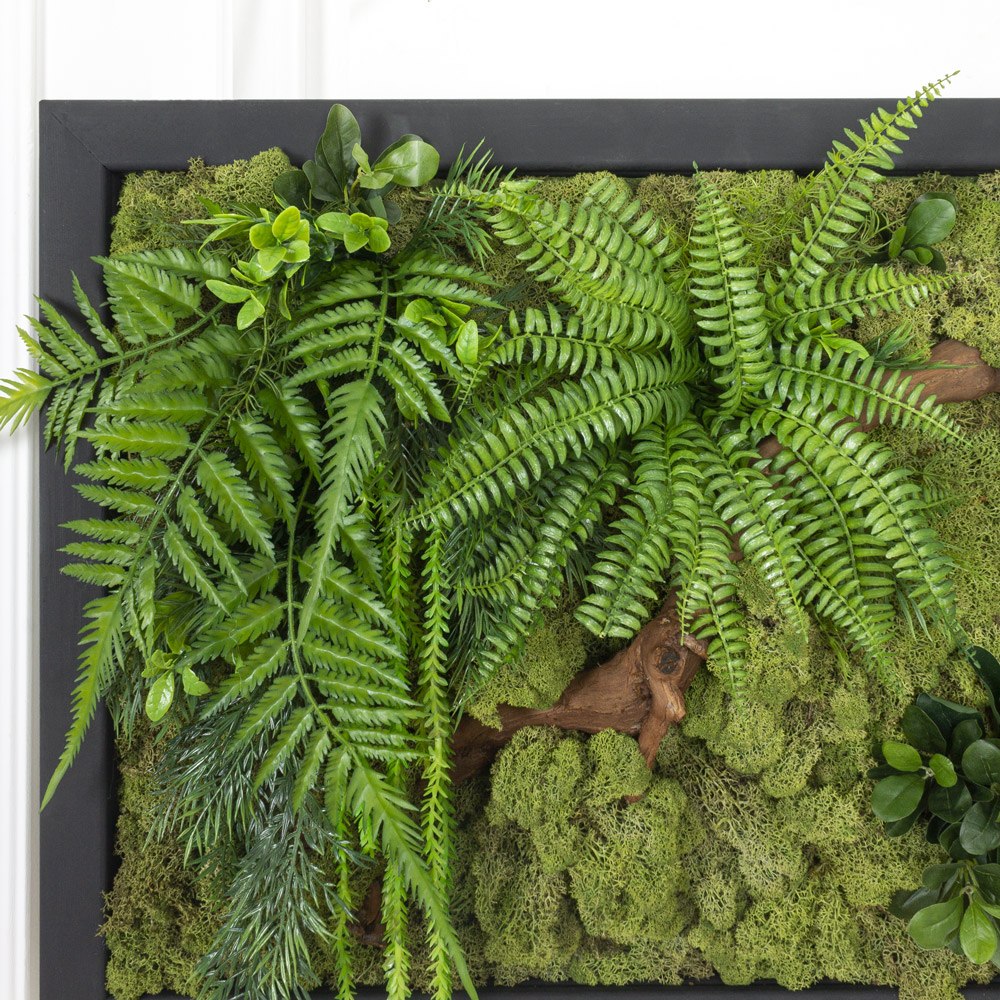 СКФ07-3(з.) Фитокартина искусств.со стабилизир.мхом 90хh60см_1