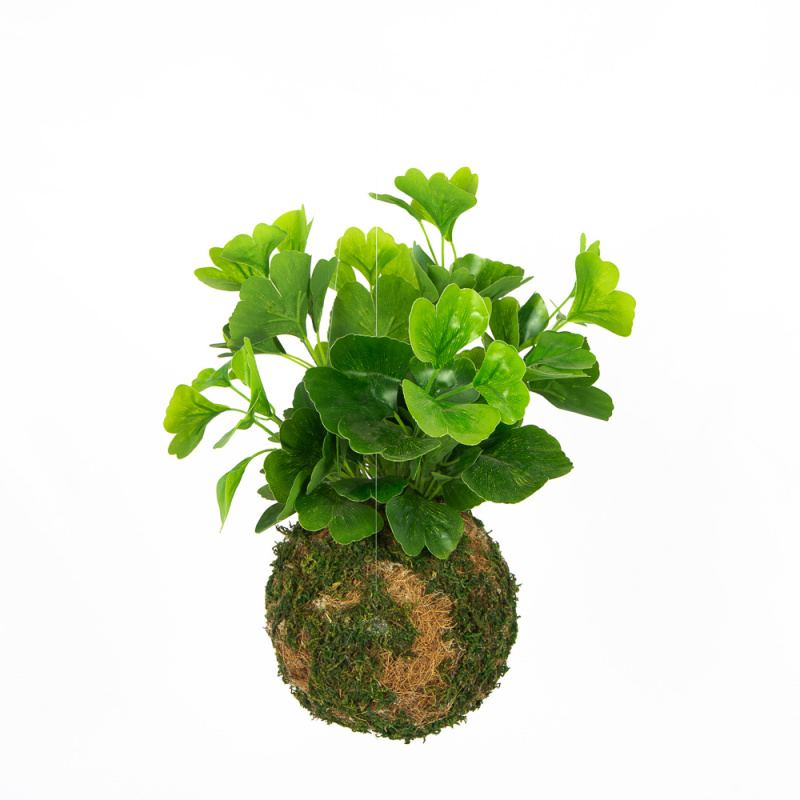 ККД32/204 Кокедама d-15 