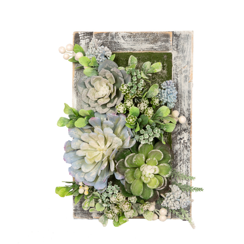 СКФ05 Фитокартина с суккул. НГ в дер.раме 25*39см