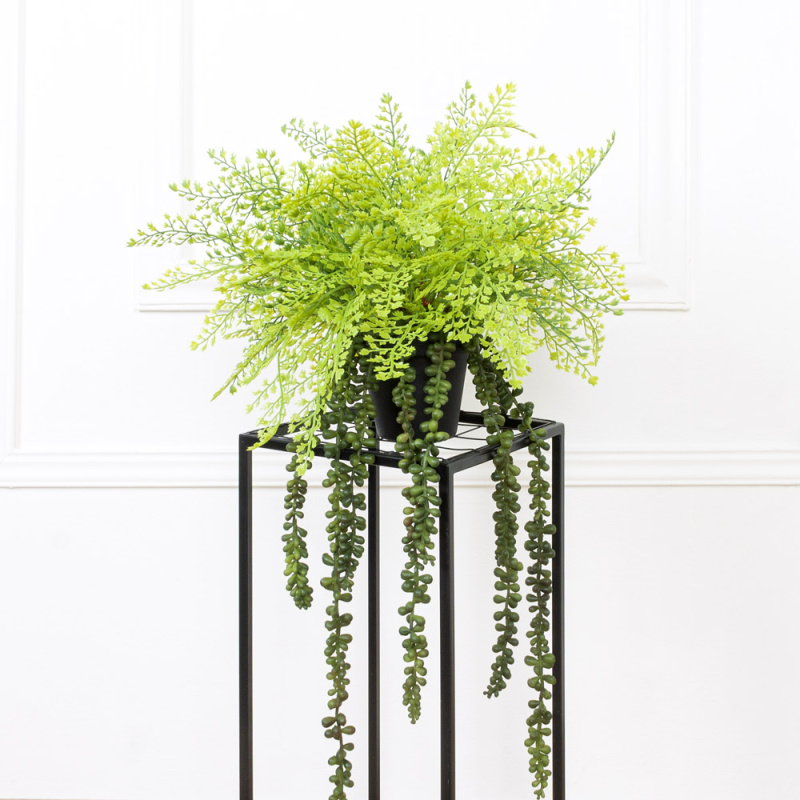 ЦС171(з.) Композиция искусственная с адиантумом в кашпо d11см