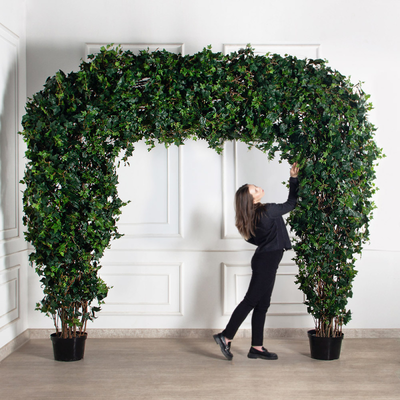 АРК07-1(з)(УУ)(Fix)(F) Арка с искусственной хедерой h280см, L340см, разборная_1