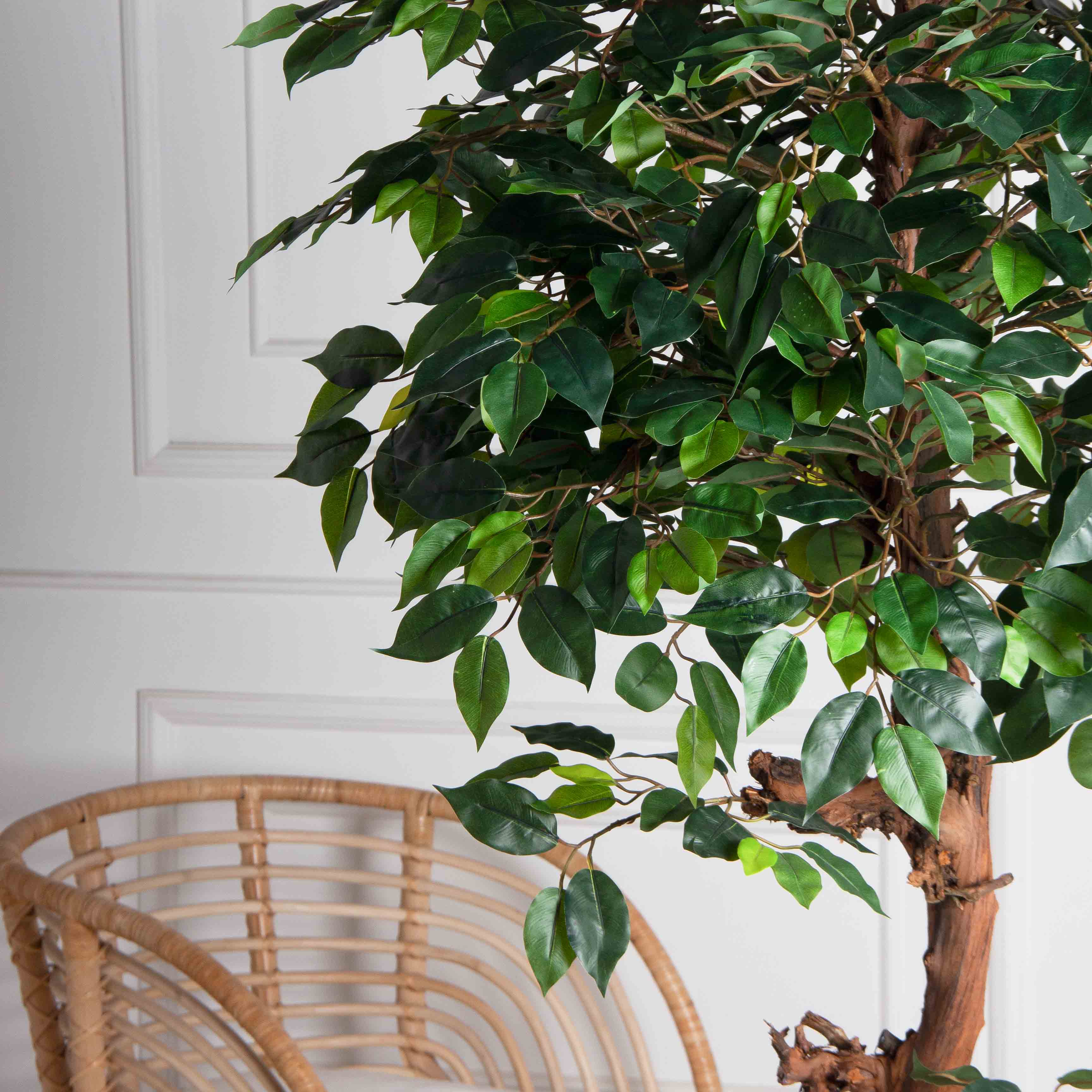 165/ОС/34(F) Фикус искусственный h165см (латекс)_6