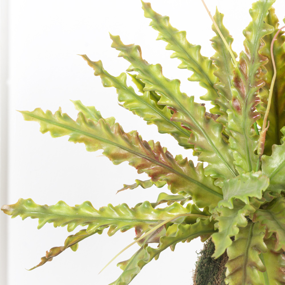 ККД35/208-2 Кокедама d-15 