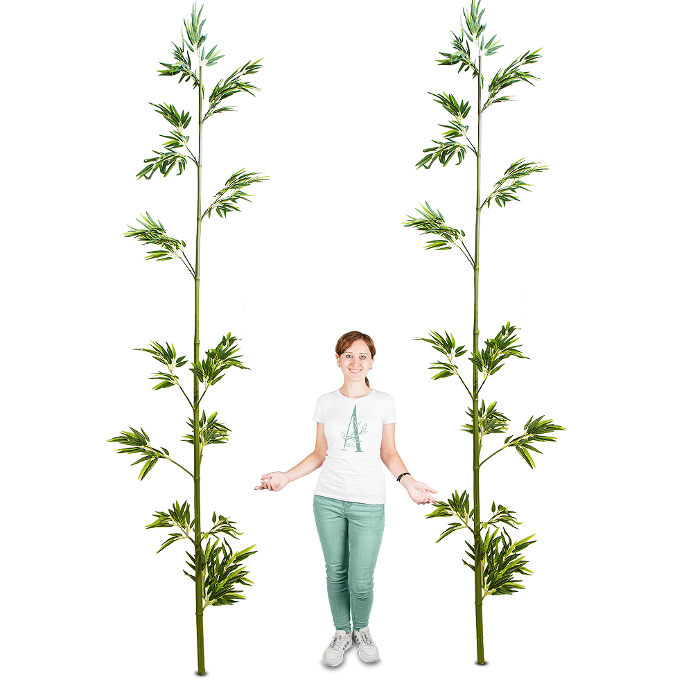 300/Б(з) Бамбук h300см(латекс)_3