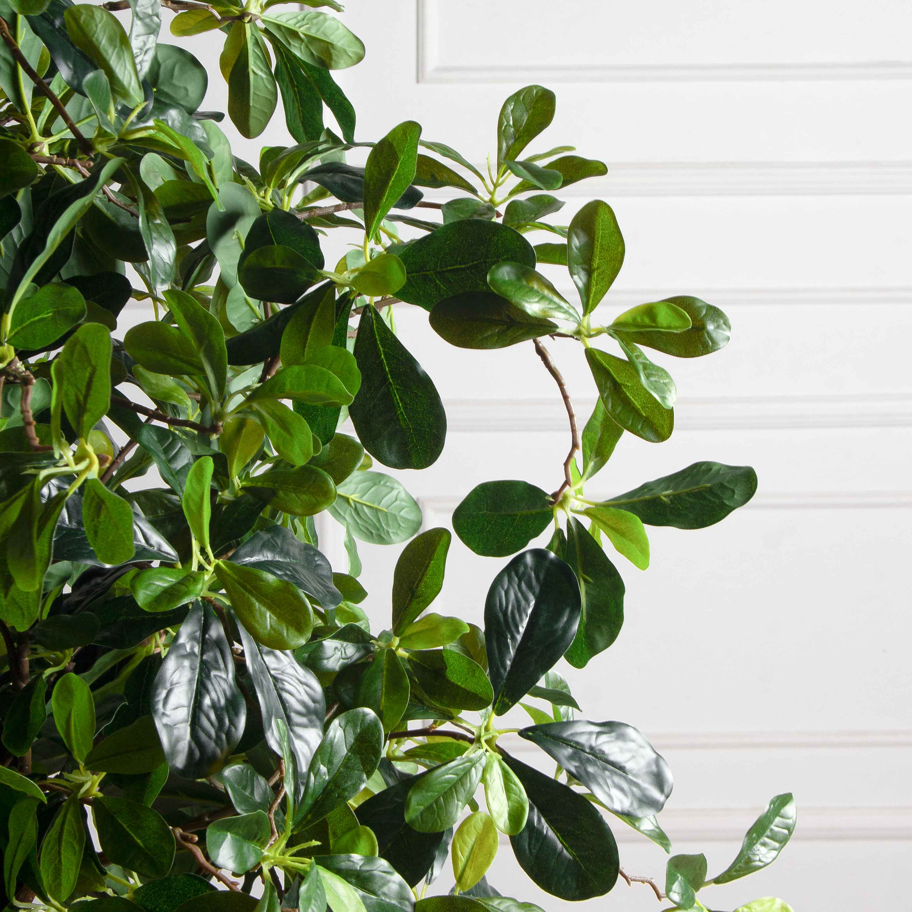 150/РН/84-2(з)(F) Шеффлера искусственная h150см_6