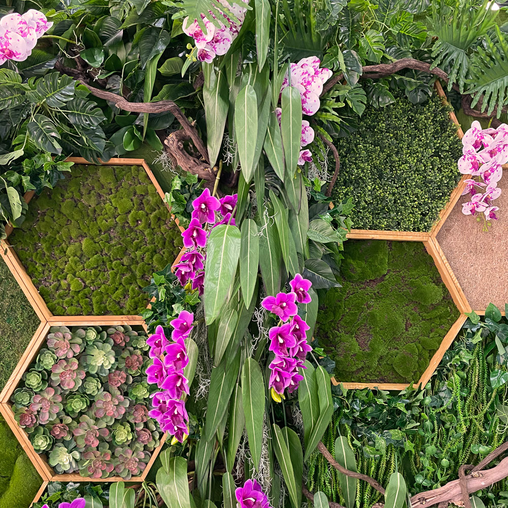 Фитостена 101_4