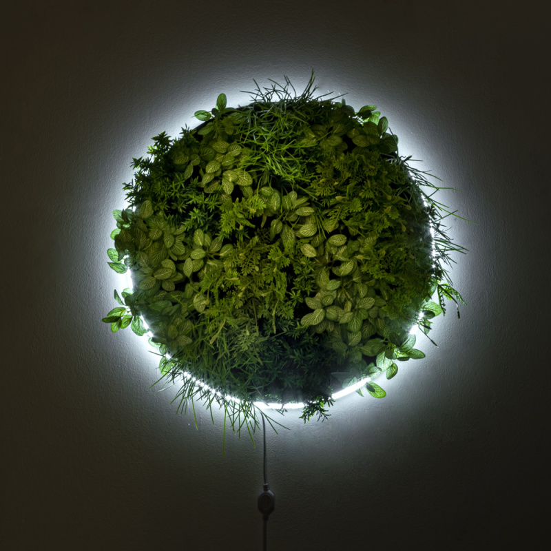 ФП05 Фитопанно искусственное с подсветкой d59см_1