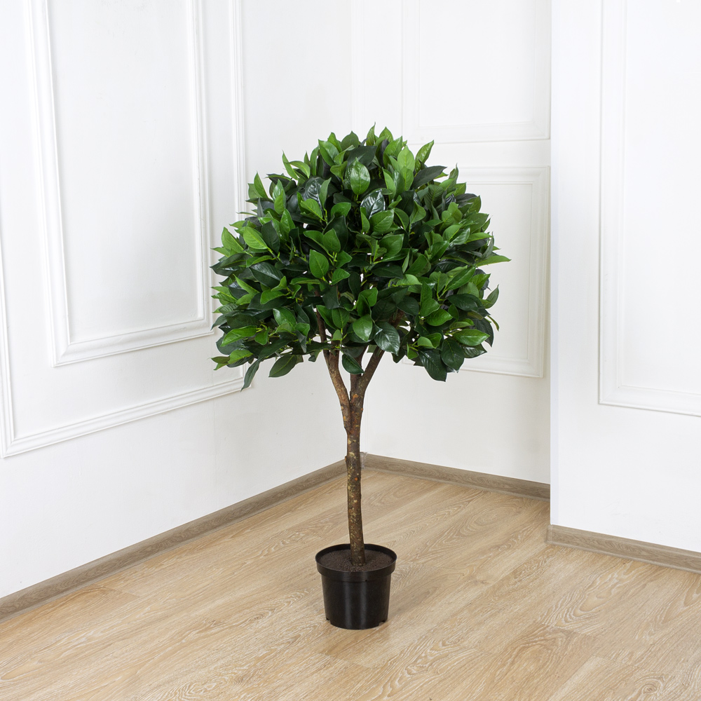 120/Ш/190(з.) Лавр камфорный h120см(латекс)_5