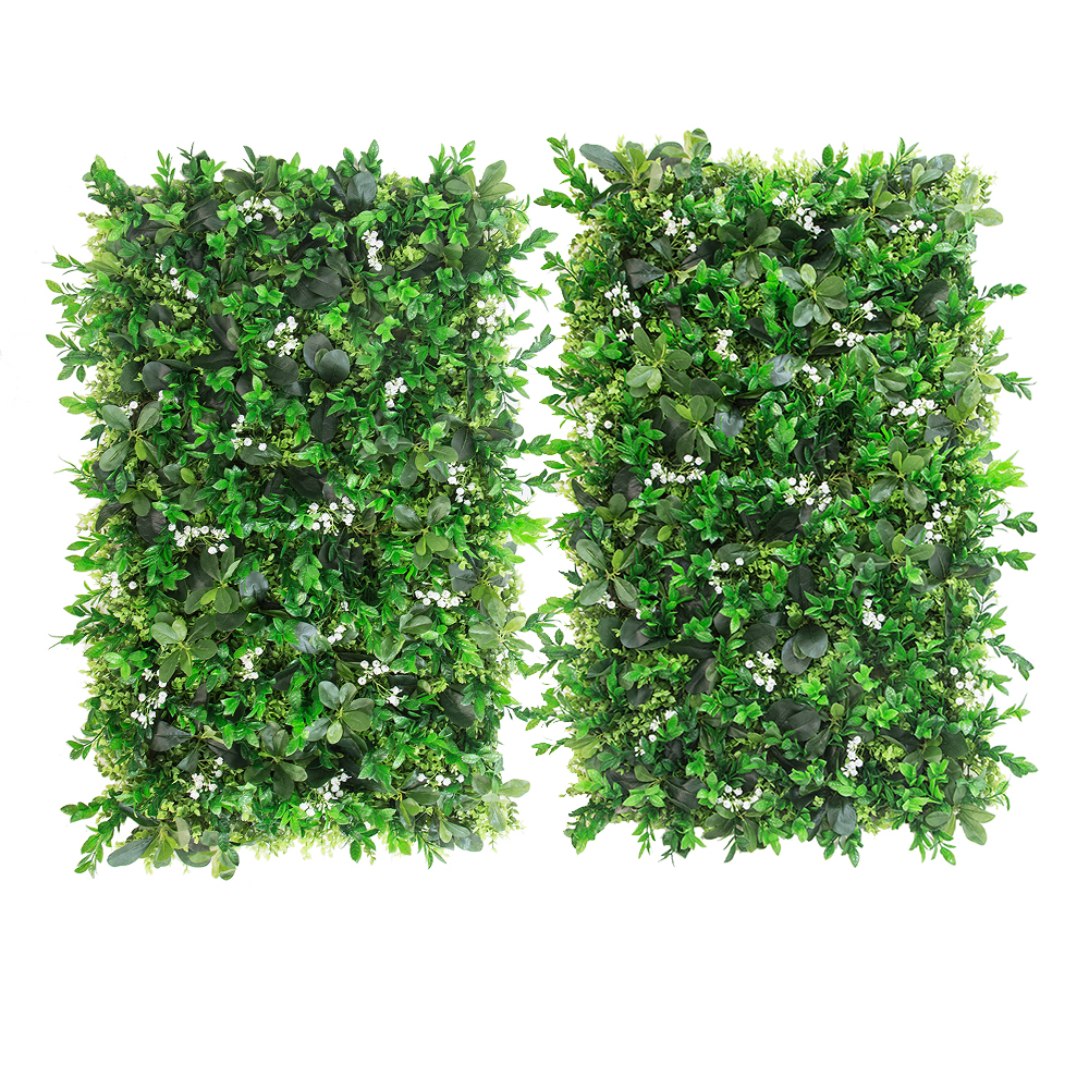 Фитостена 77(з)_5