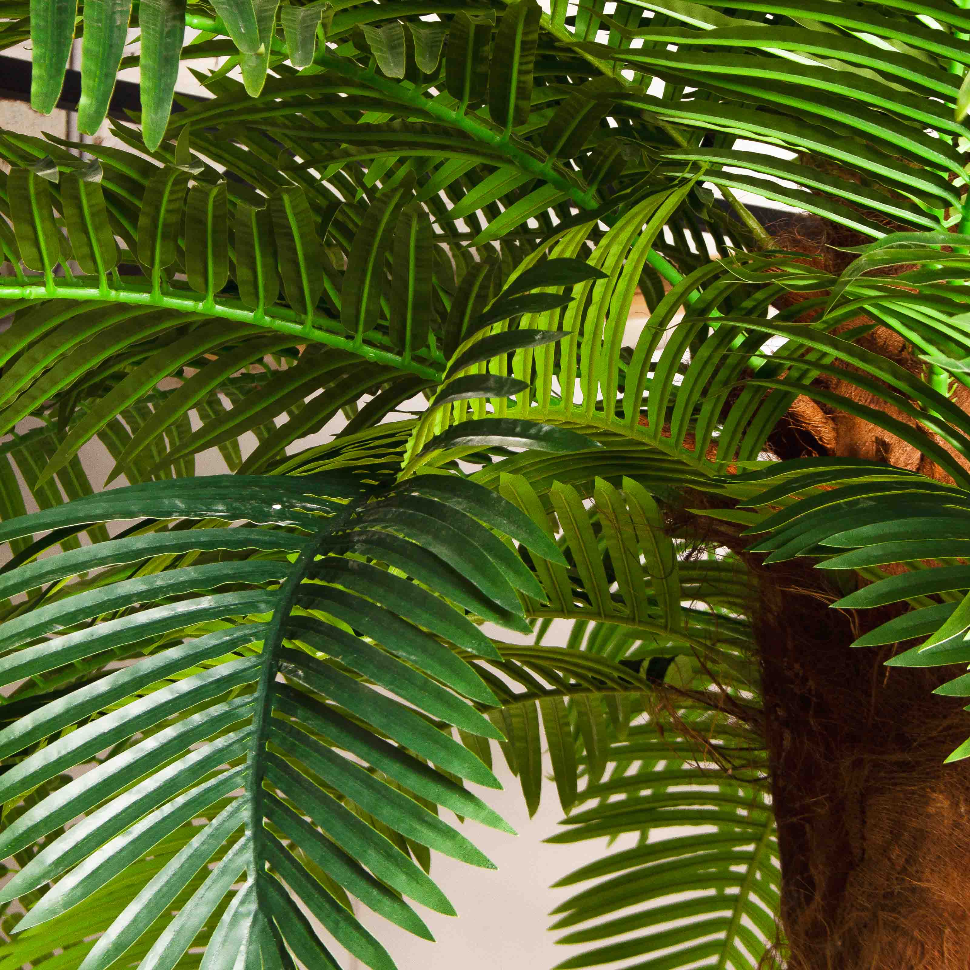 ПС500/ТР/49СТ(Пр)(F) Пальма Арека искусственная h500см на мет.основании_11