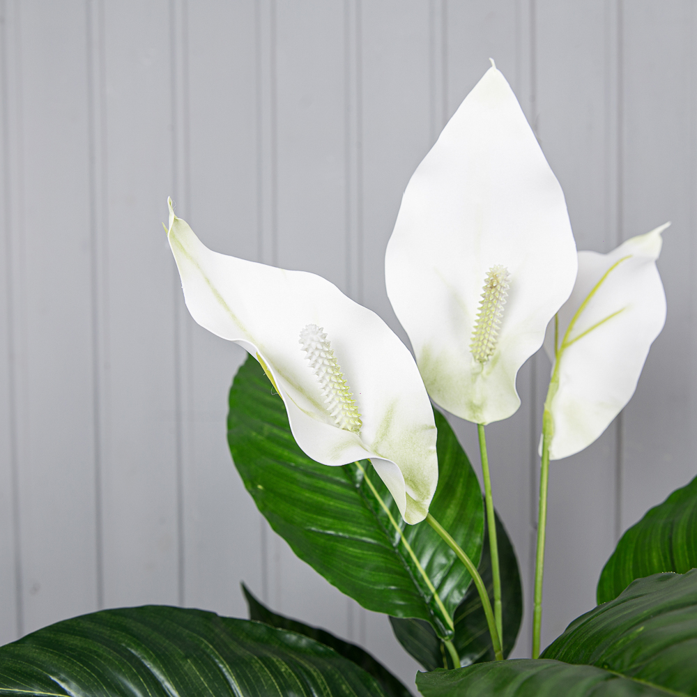 К60/217-1 Спатифиллум h-60см (латекс/ревелюр)_2