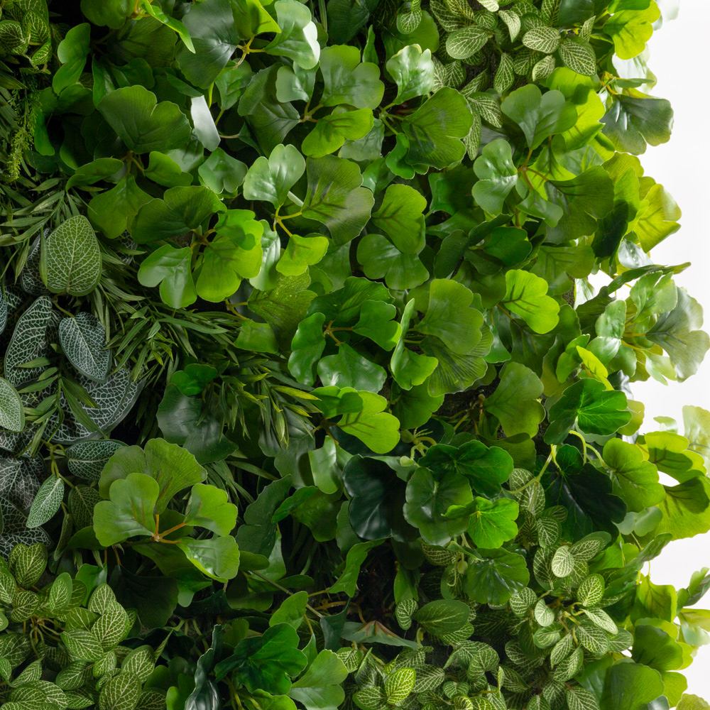 ФТС175(F) Фитостена,  за 1кв.м_2