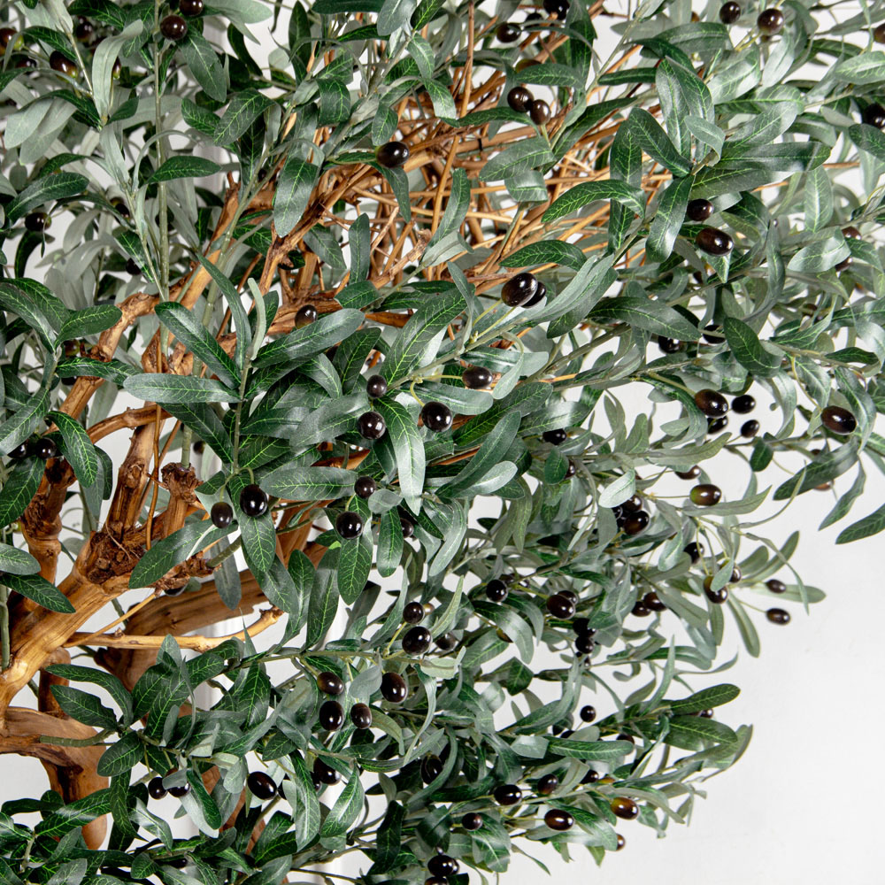 310Гбст/разб/АСС/Д3х4/465(з)(F) Олива интерьерная разборная  h310см на витом стволе_6