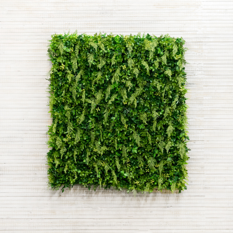 Фитостена 005