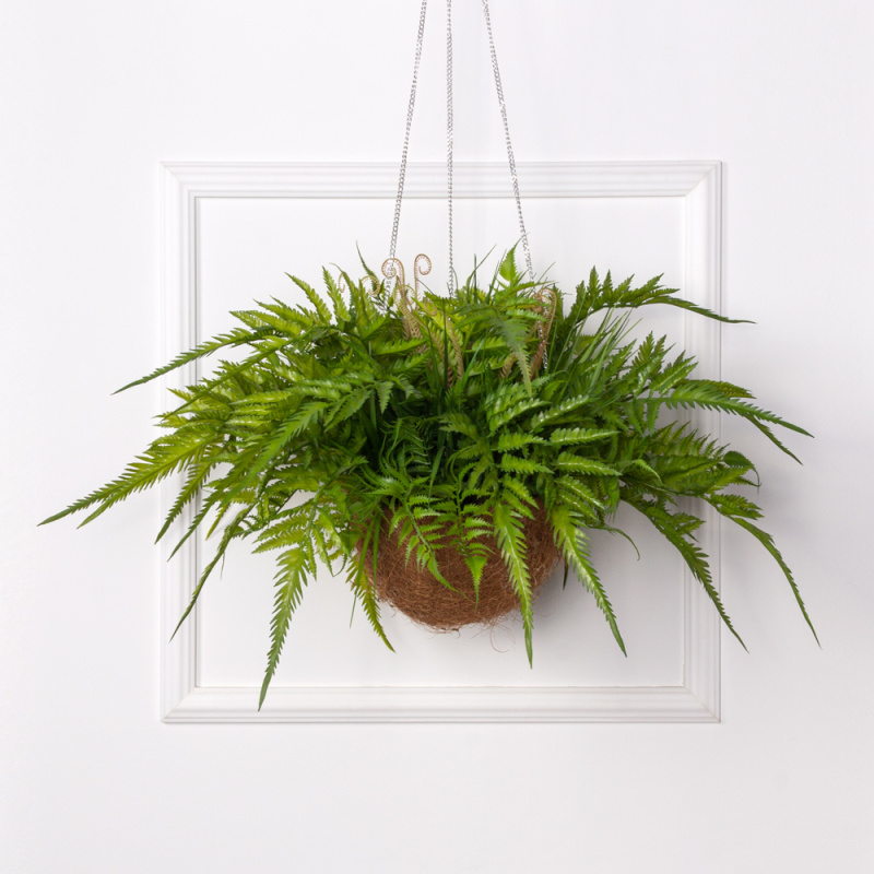 ККВ01-2(з) Коковита с большим искусственным папоротником и циртомиумом на цепях_5