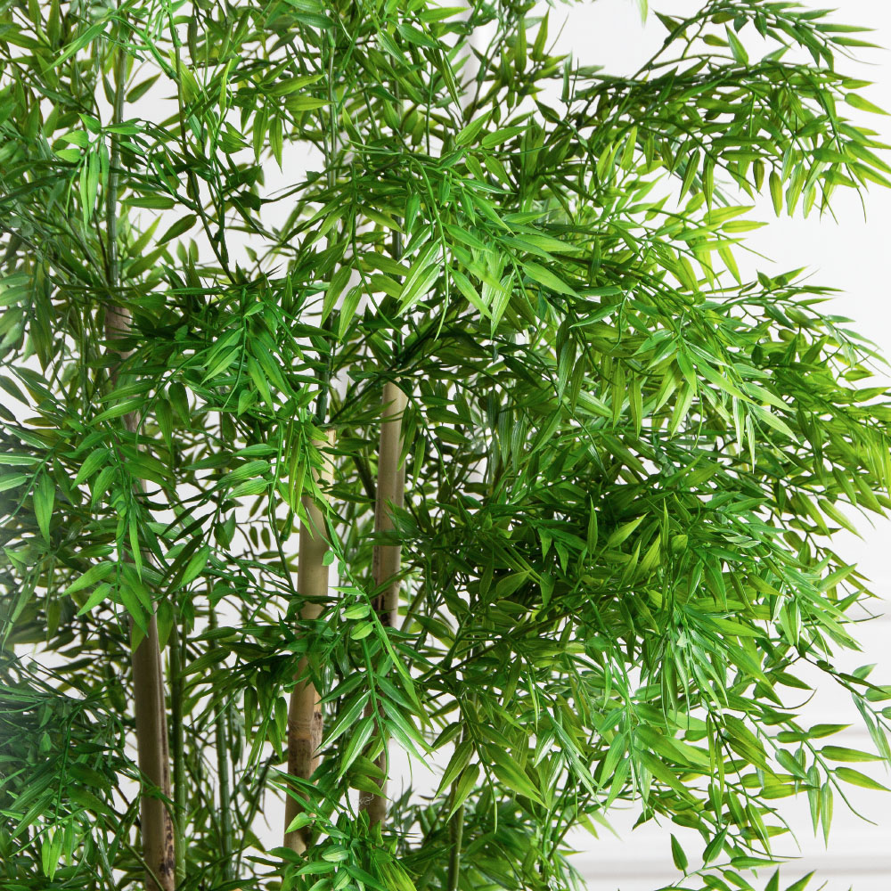 180/620(FixS)(Пр)(F) Бамбук искусственный узколистный 6 стволов, h180см_4