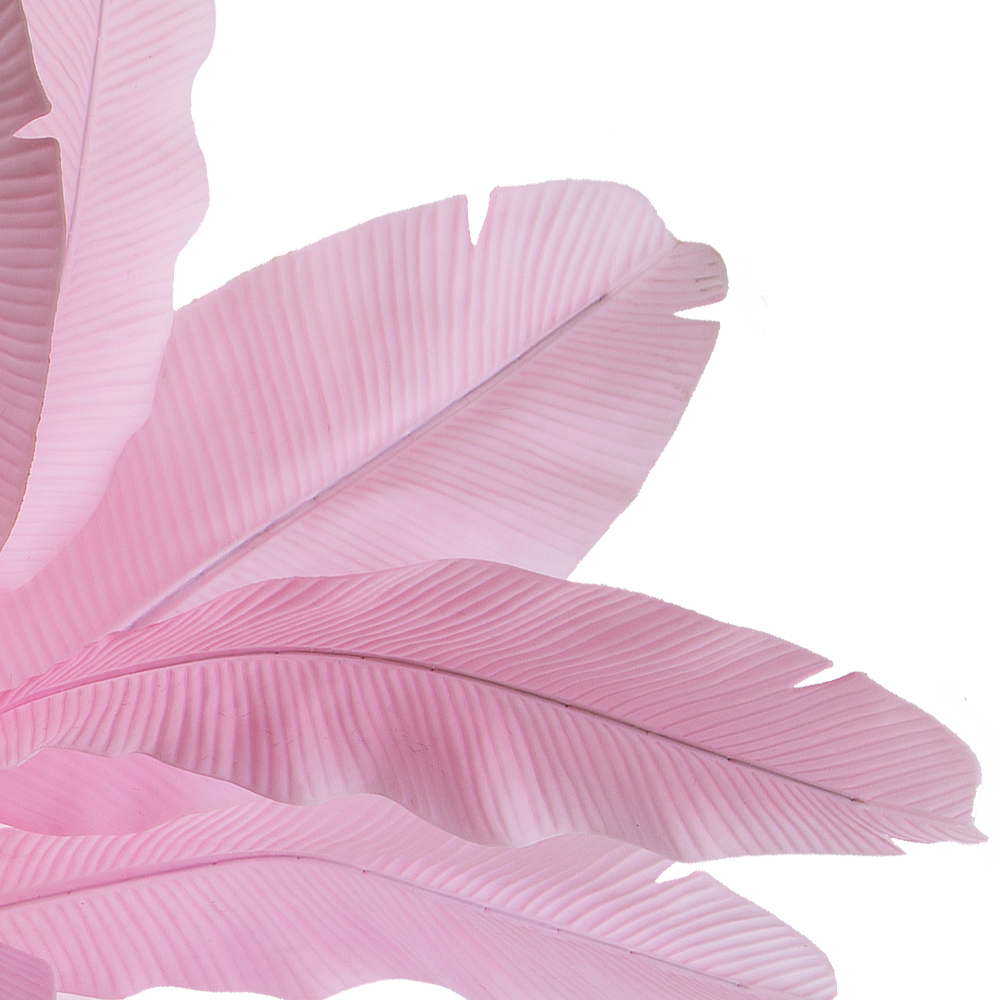 П120/356-2(з.) Банановая пальма розовая (силикон) h120см_2