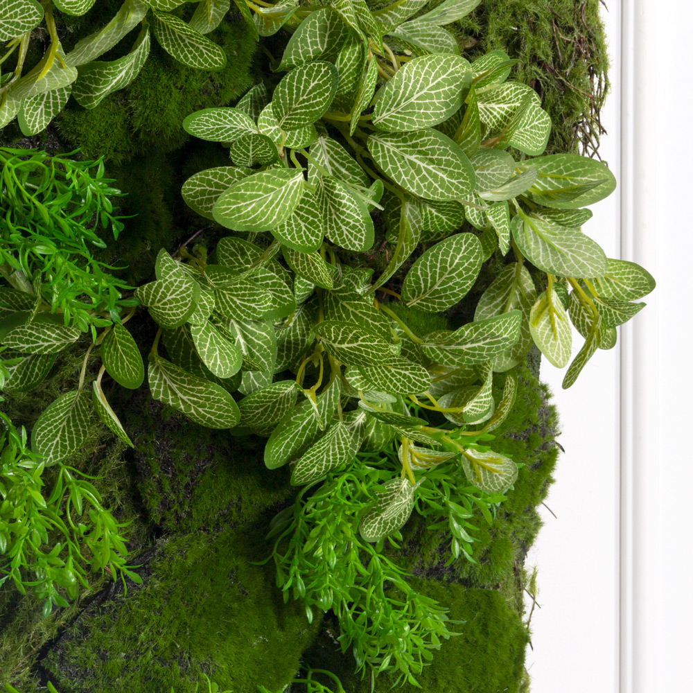 ФК06(з)(F) Фитокартина со мхом-ряской 50х50см_2