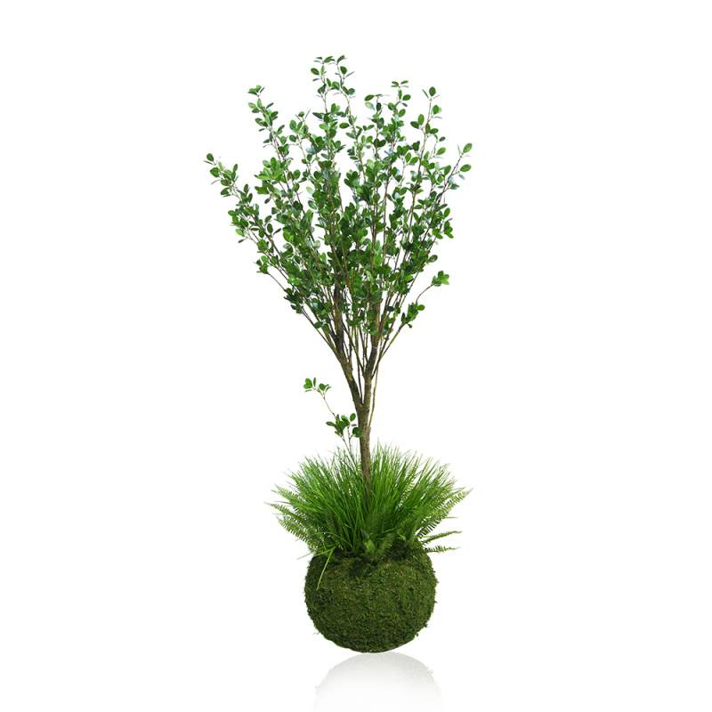 ККДД180/200(з.) Кокедама d40см Дерево с распускающимися листочками h180см_1