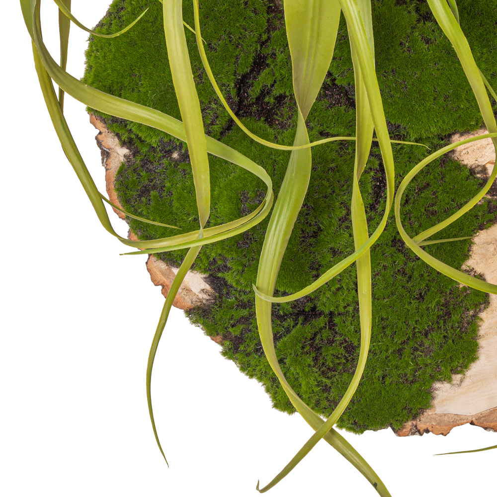 БК140/3 Композиция на березовом спиле d48-50см_3