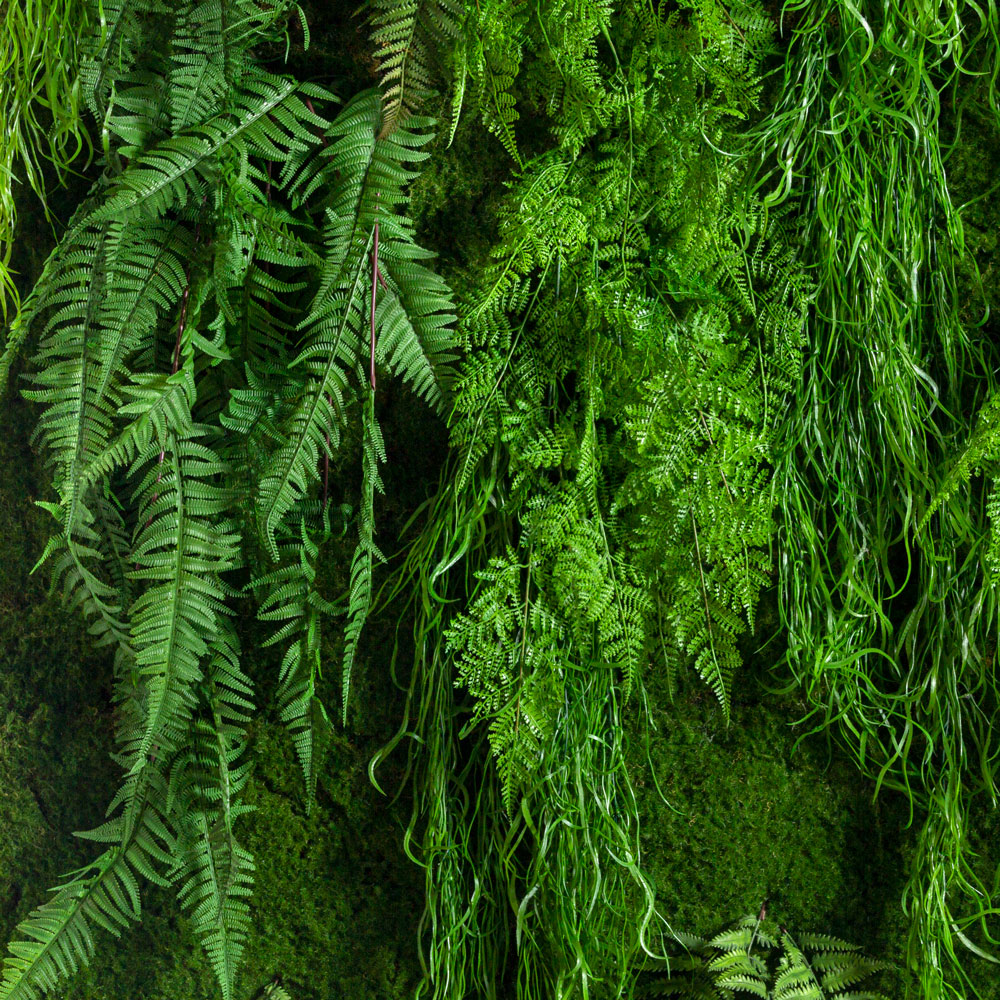 ФТС173 Фитостена,  за 1кв.м_2