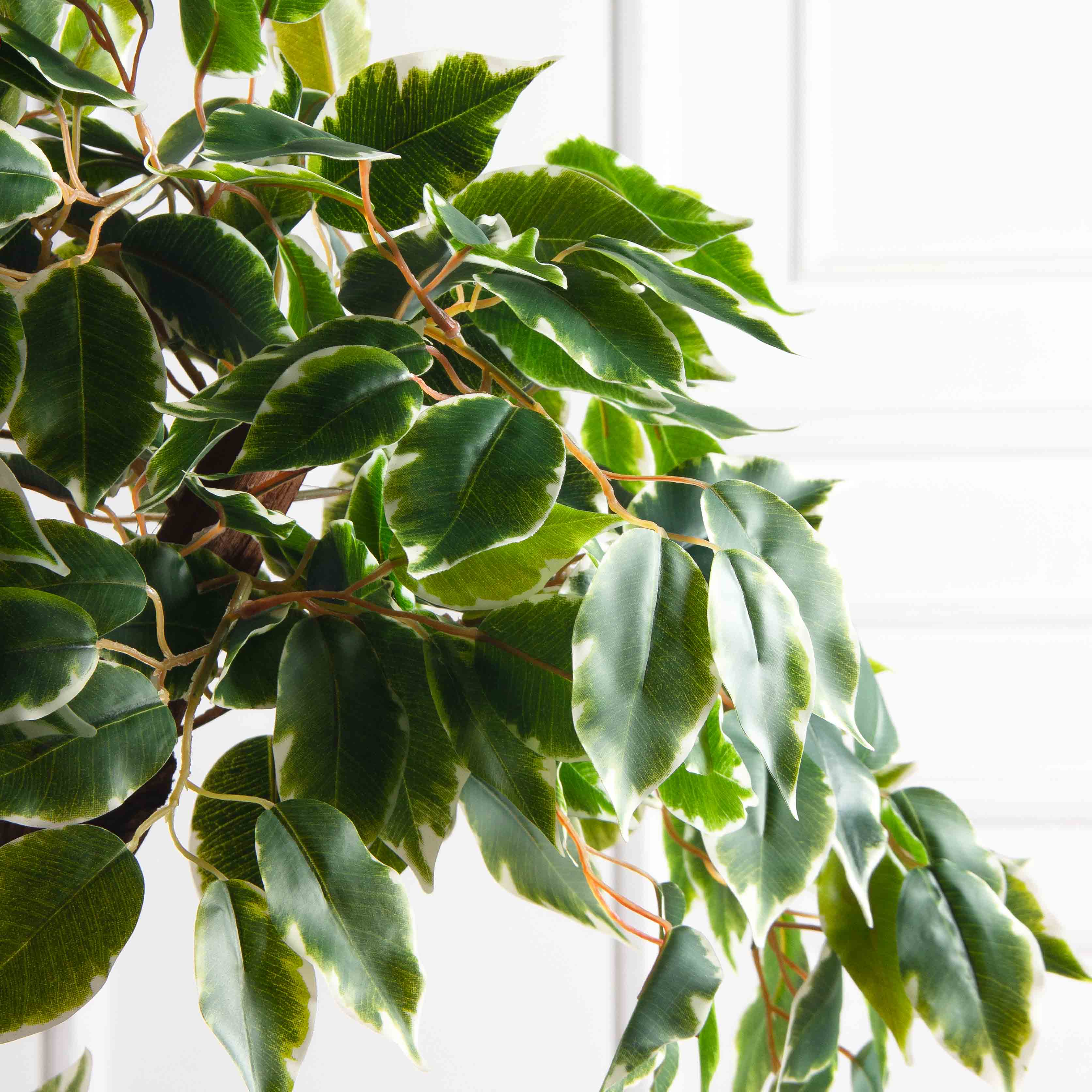 БЛ055/2К/ОС/61-1(з)(F) Бонсай искусственный Фикус пёстрый h55см на круглом основании_6