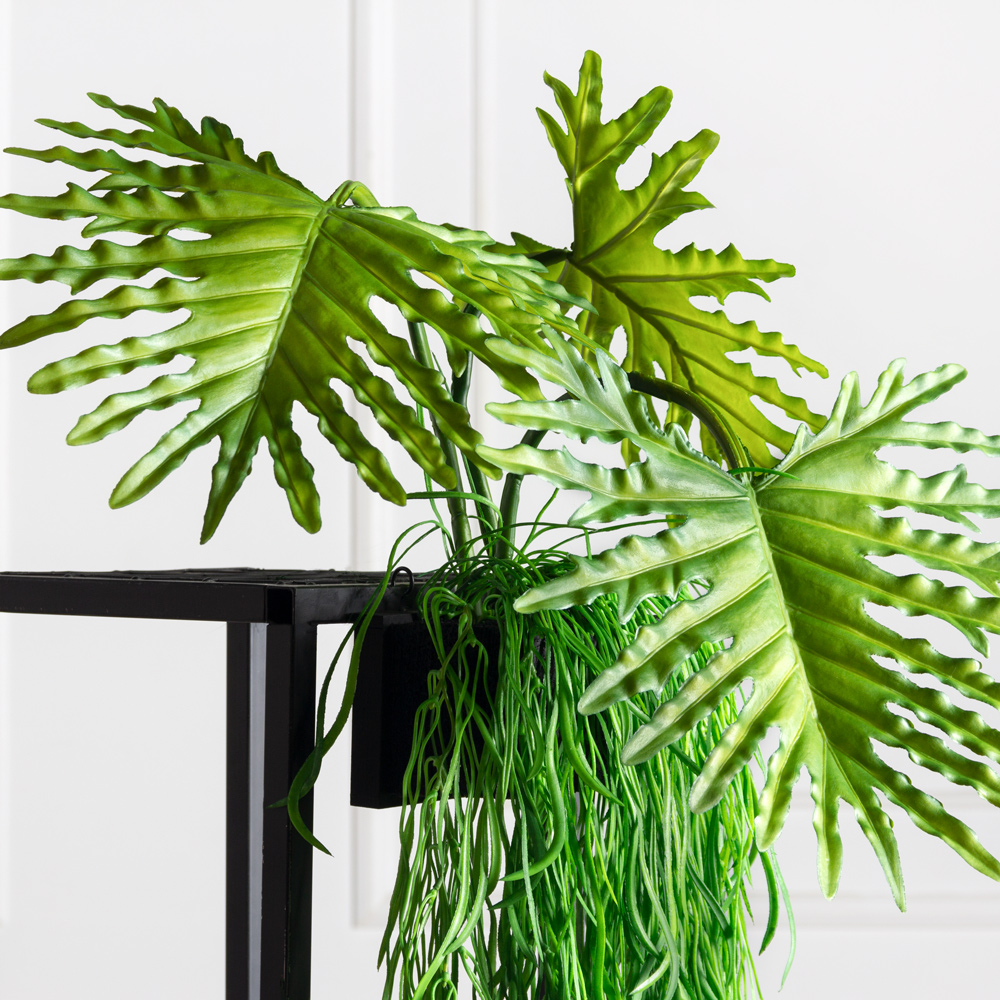 БК08(F) Композиция с филодендроном на блоке 15*h10см_2