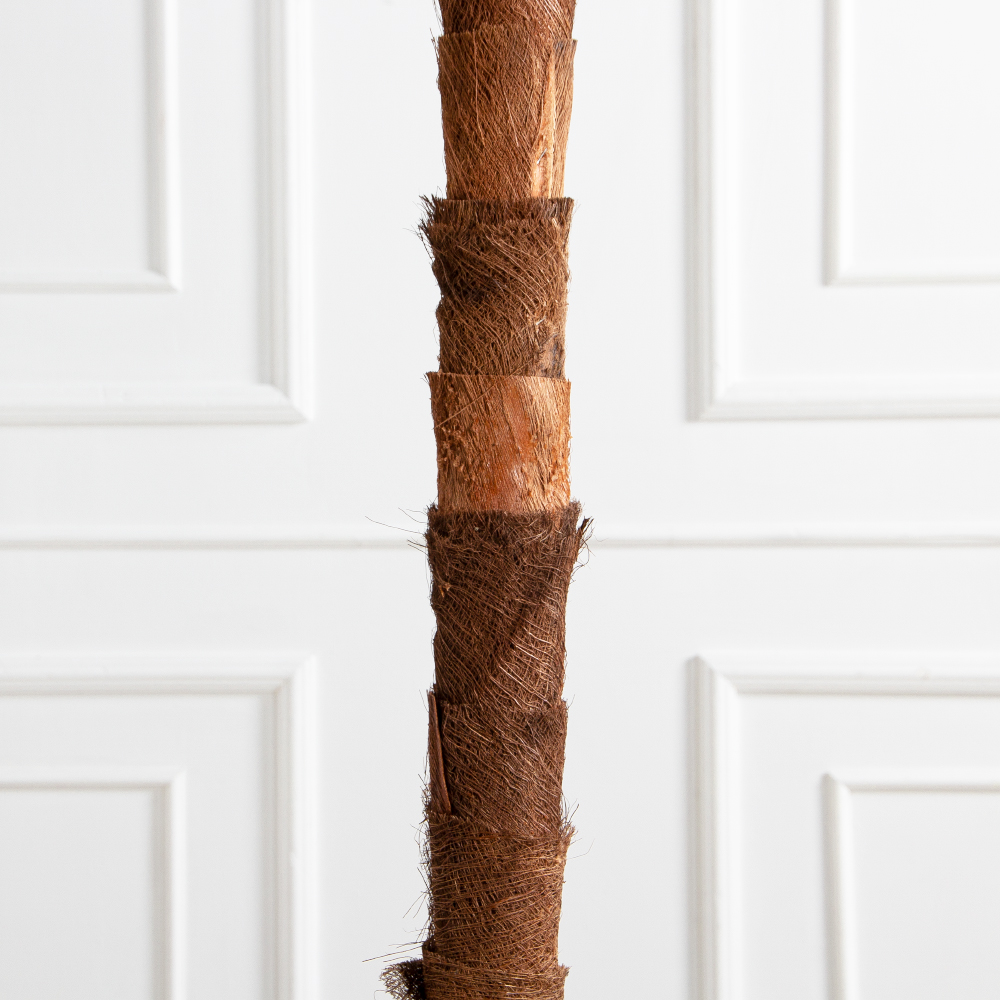 ПС220/49(F) Пальма искусственная финиковая, h220см_5