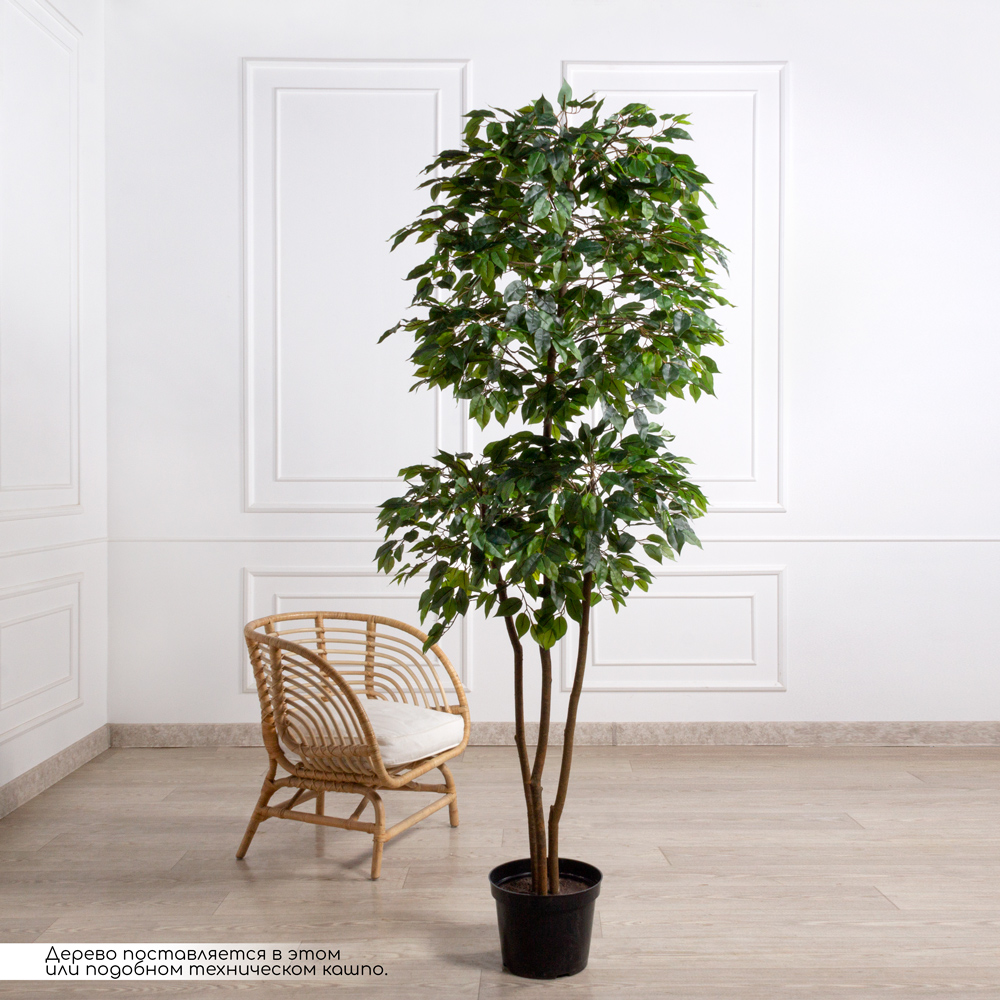 220/РУ/34(з)(F) Фикус искусственный разноуровневый h220см (латекс)_1