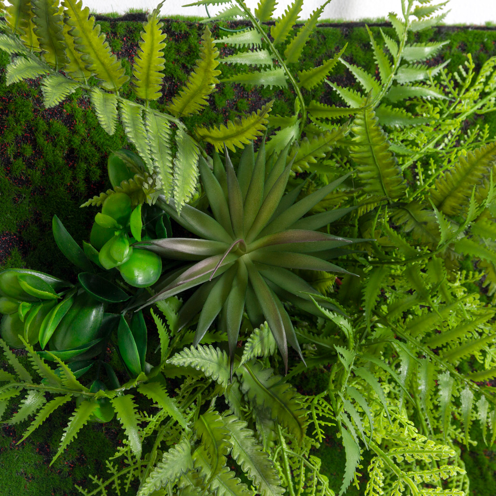 ФК01-3(з)(F) Фитокартина с искусственным папоротником 40х30см_1