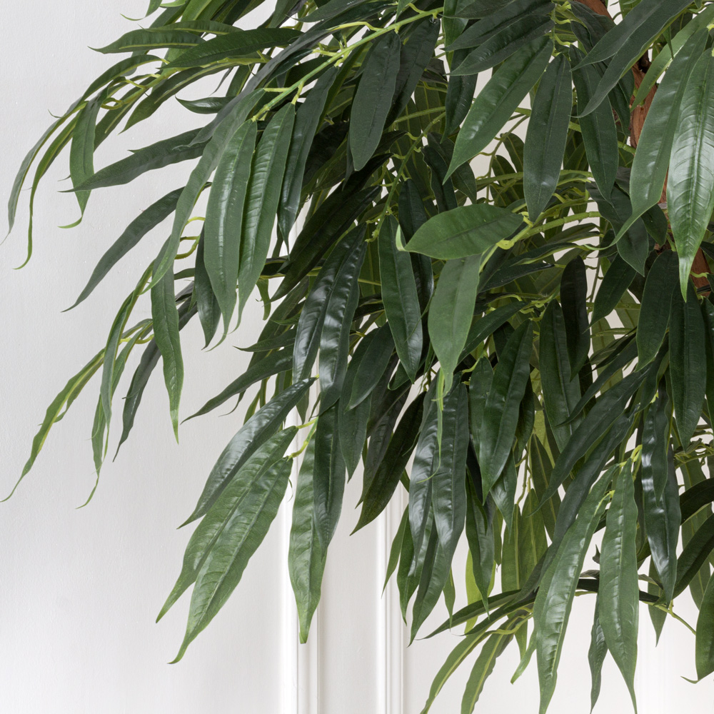 210/ОС/219 Лонгифолия h210см(латекс)_5