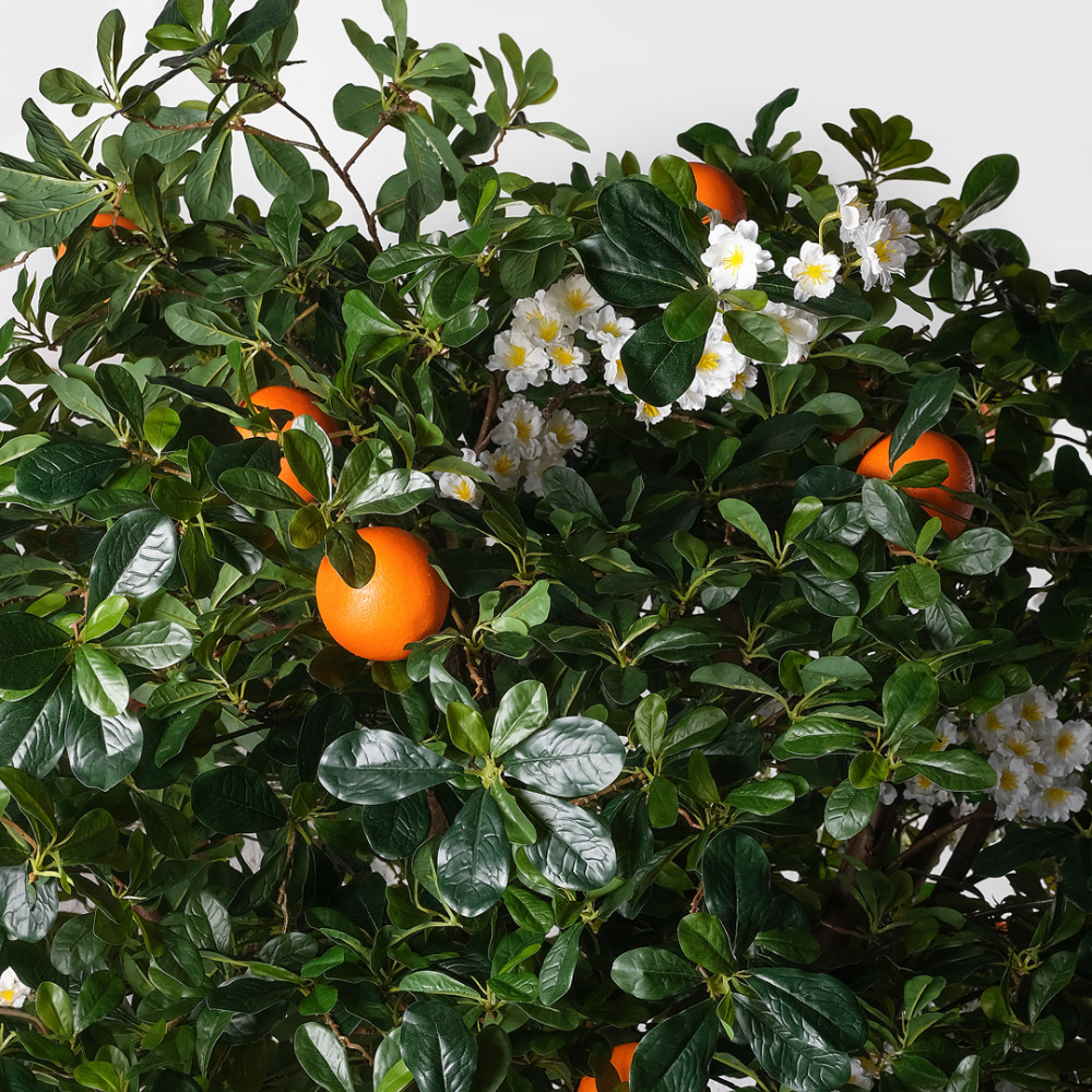 200/РН/84-5(з)(F) Дерево искусственное экзотическое  с апельсинами и цветами h200 d200см, латекс_7