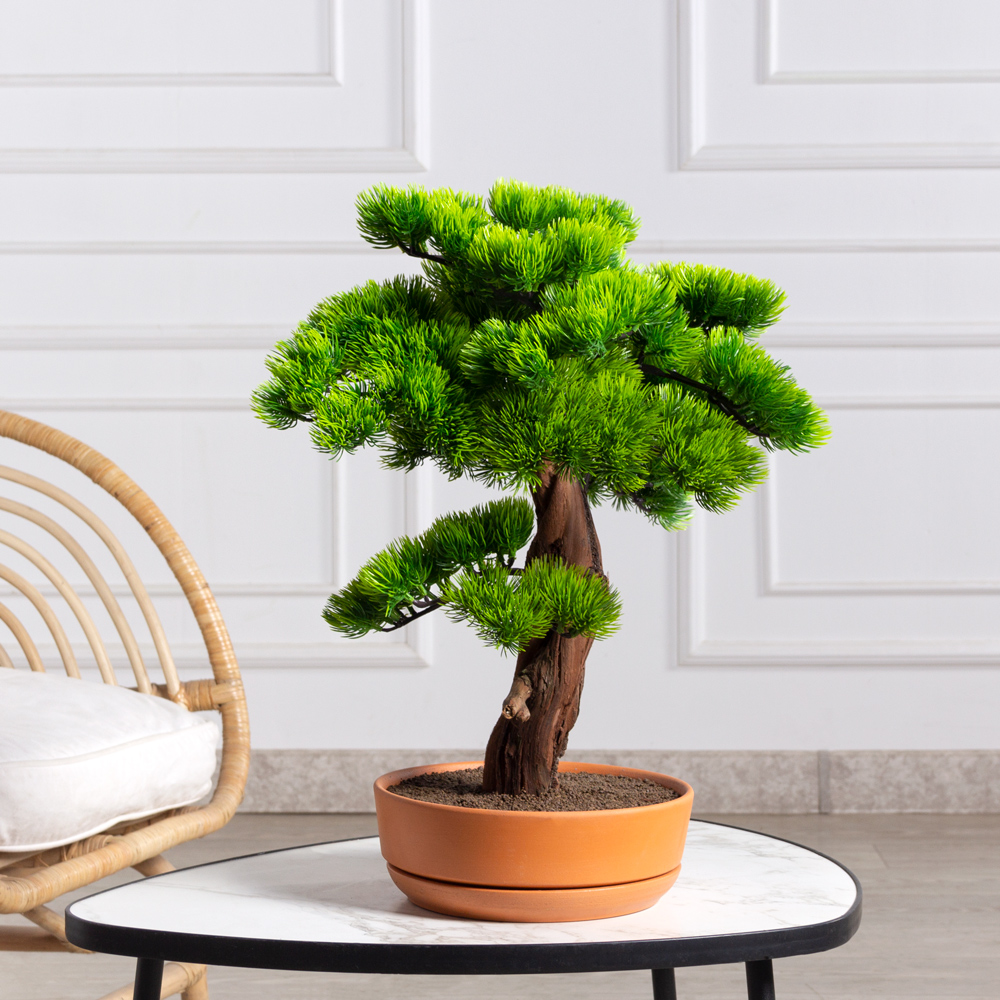 БС050/2К/ОС/30(Пр)(F) Бонсай искусственный Сосна h50см в интерьерном кашпо_1