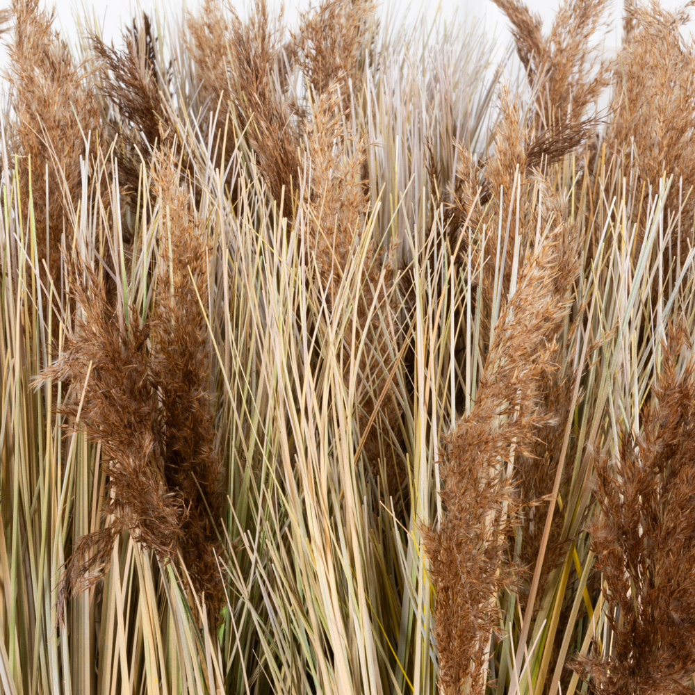 ФТМ184(з) (F) Фитомодуль 384х85см (S3,26кв.м)_3