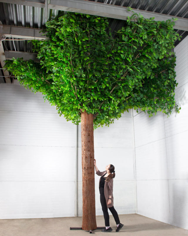 500Разб/ТР/222-1(F) Дуб искусственный разборный h500см d500см_1