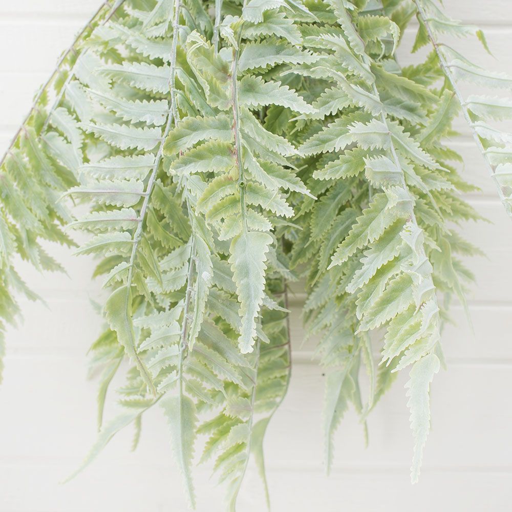 СП05-1 Sky Planter Циртониум h-35 в кашпо (11*10)_2