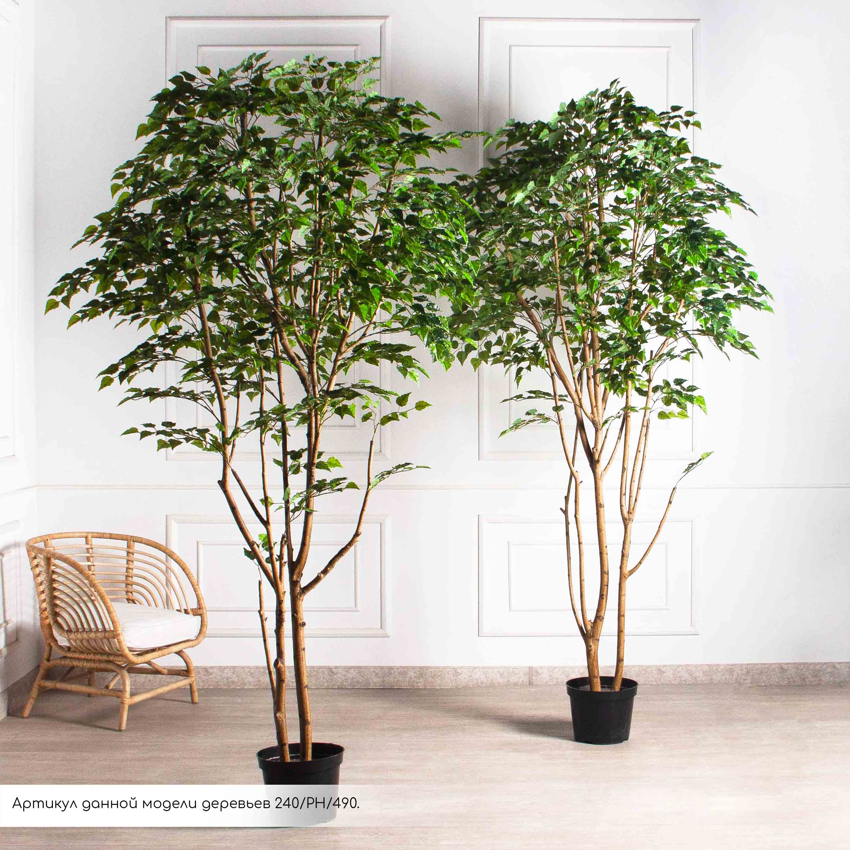 240/РН/12М-4(з)(F) Береза искусственная h240см, 2 ствола(латекс)_7