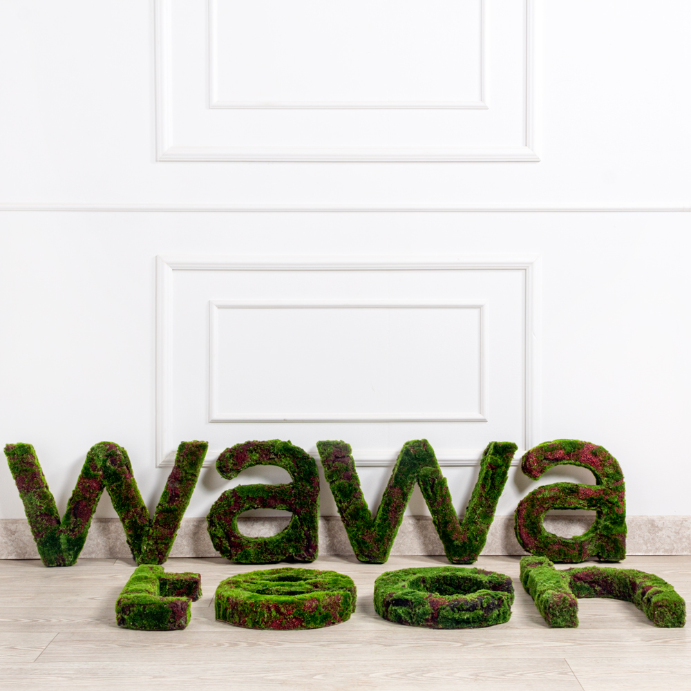 Логотип (з)(F) WAWAtech 300хh30см _2