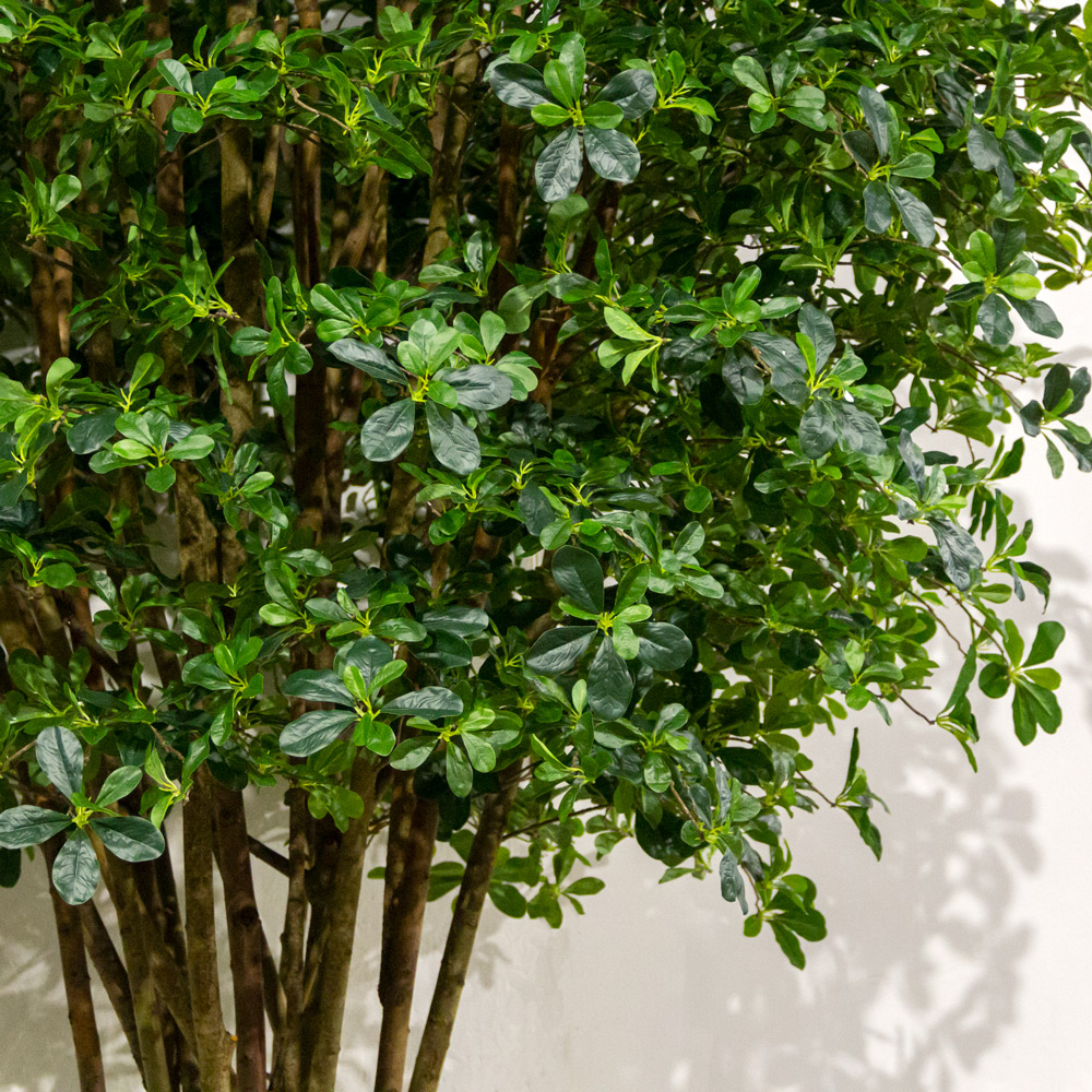 340/РН/84-2(з)(Пр)(F) Шеффлера искусственная с подкустником h340см,латекс_3