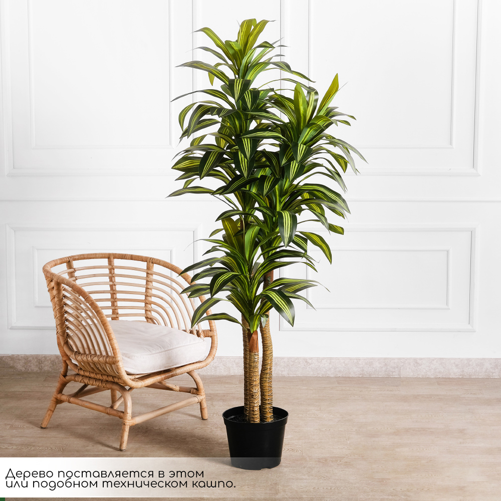 180/3С/405(х)(Fix)(F) Драцена искусственная h180см (латекс)_2