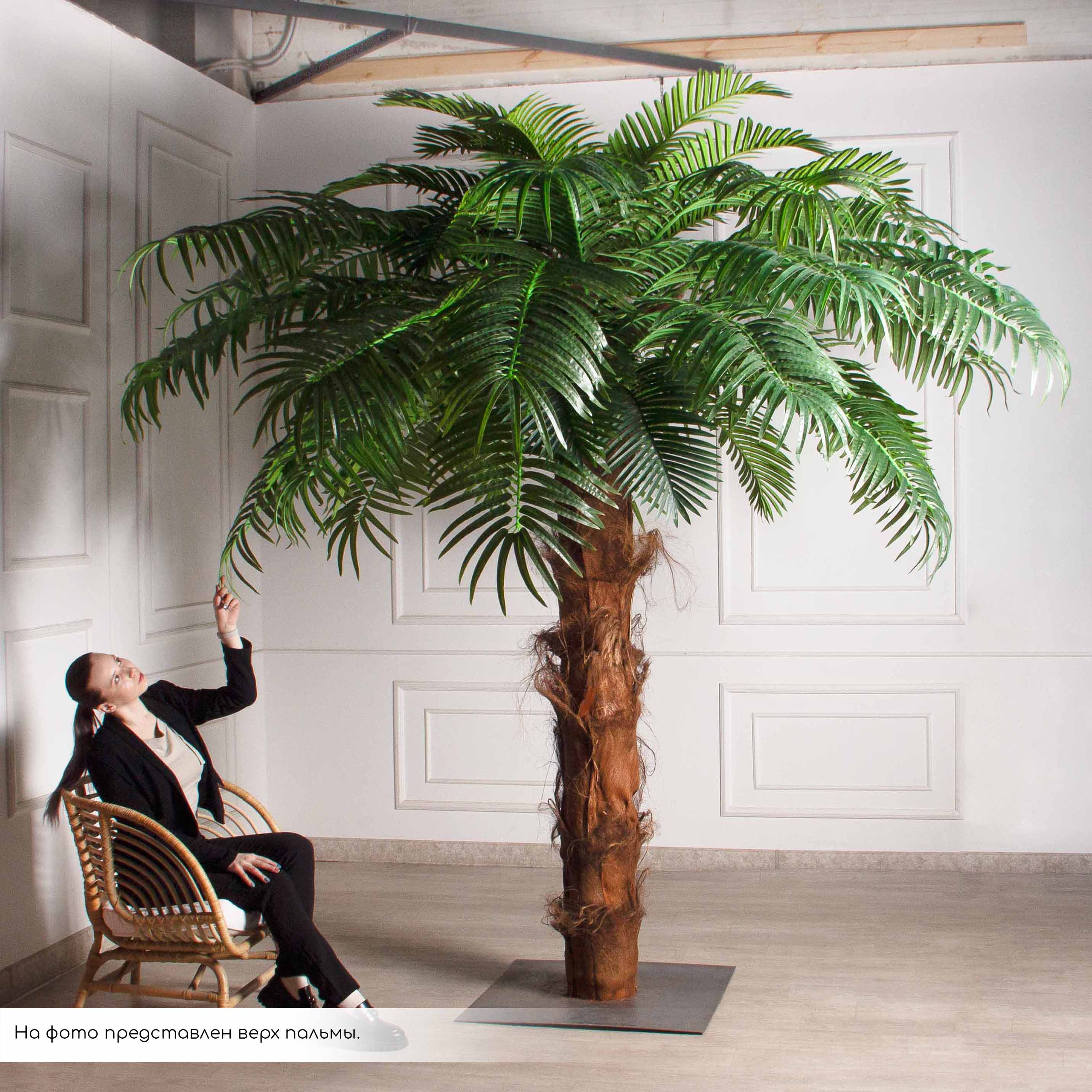 ПС500Разб/ТР/49Прем(F) Пальма Арека искусственная h500см на мет.основании_7